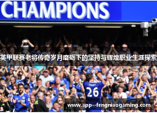 英甲联赛老将传奇岁月磨砺下的坚持与辉煌职业生涯探索