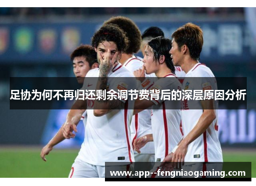 足协为何不再归还剩余调节费背后的深层原因分析
