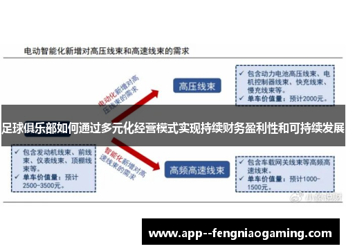 足球俱乐部如何通过多元化经营模式实现持续财务盈利性和可持续发展