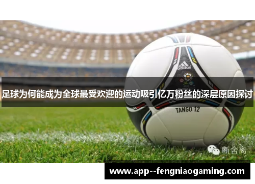 足球为何能成为全球最受欢迎的运动吸引亿万粉丝的深层原因探讨