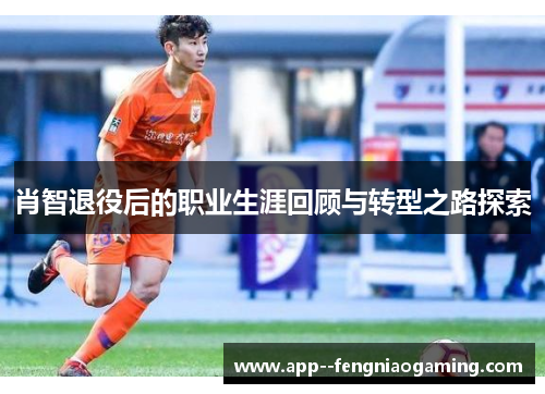 肖智退役后的职业生涯回顾与转型之路探索