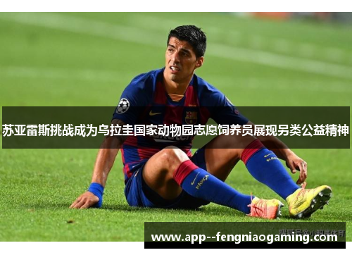 苏亚雷斯挑战成为乌拉圭国家动物园志愿饲养员展现另类公益精神 苏亚雷斯挑战成为乌拉圭国家动物园志愿饲养员展现另类公益精神