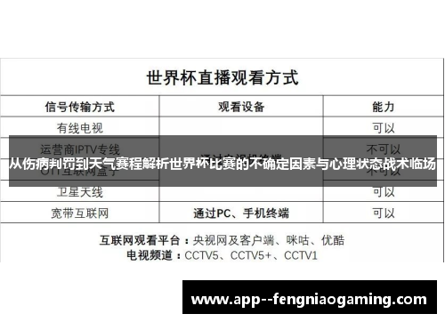 从伤病判罚到天气赛程解析世界杯比赛的不确定因素与心理状态战术临场