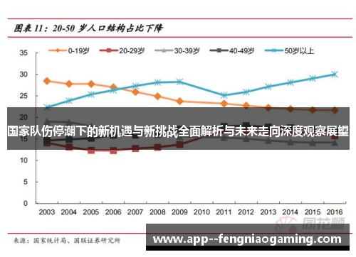 国家队伤停潮下的新机遇与新挑战全面解析与未来走向深度观察展望