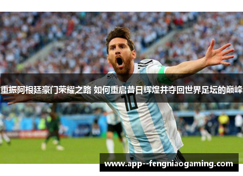 重振阿根廷豪门荣耀之路 如何重启昔日辉煌并夺回世界足坛的巅峰