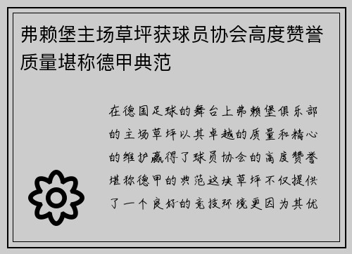 弗赖堡主场草坪获球员协会高度赞誉质量堪称德甲典范